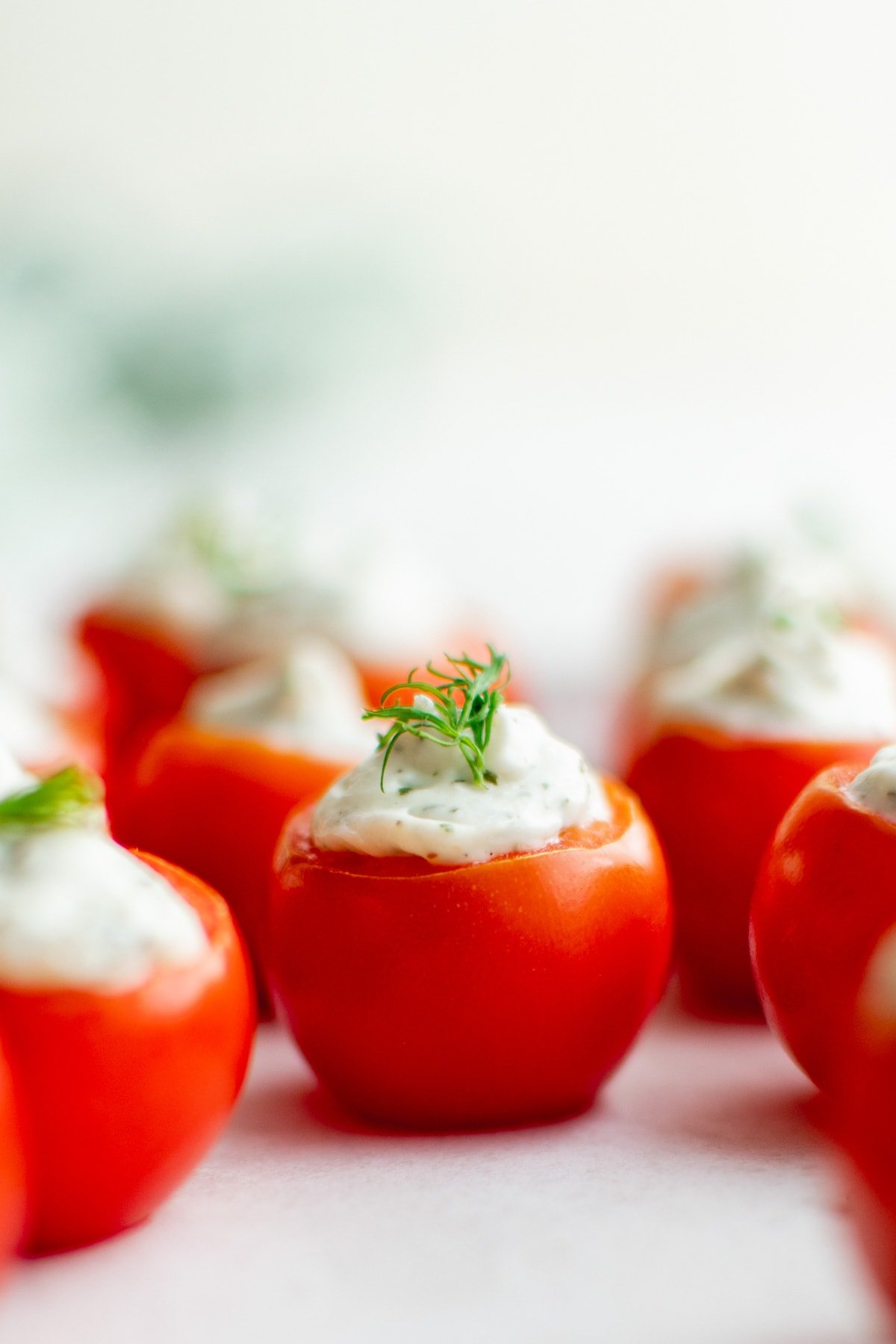stuffed cherry tomatoes with dill on top