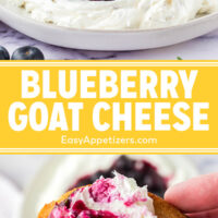 Easy Blueberry Goat Cheese - Easy Appetizers