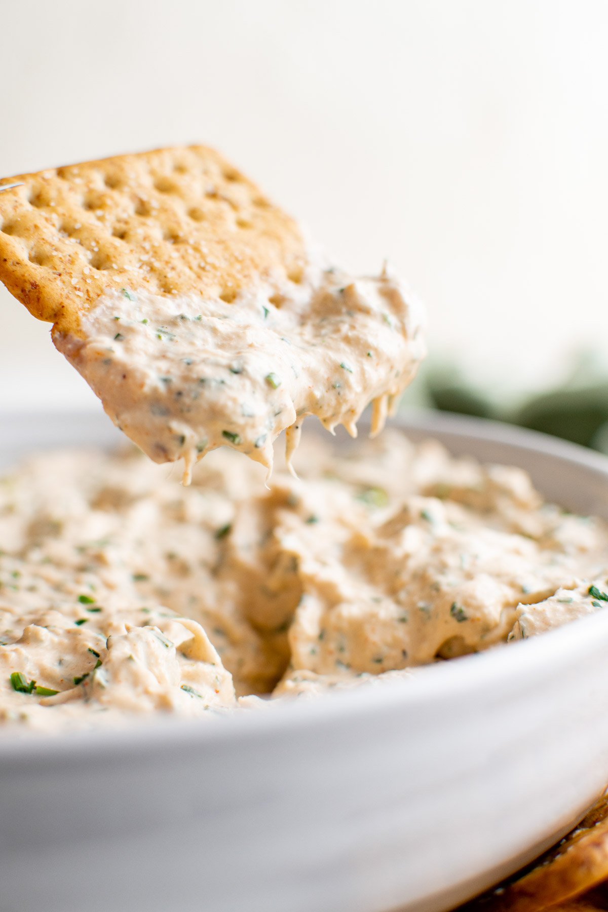 Smoke tuna dip in a white bowl and a cracker with dip on it.