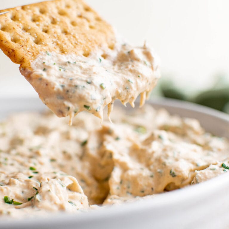 Smoked Tuna Dip - Easy Appetizers