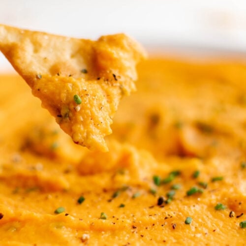 Savory Sweet Potato Dip Easy Appetizers